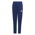 TSV Trainingshose entrada26